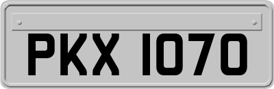 PKX1070