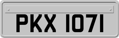 PKX1071