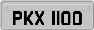 PKX1100