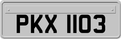 PKX1103