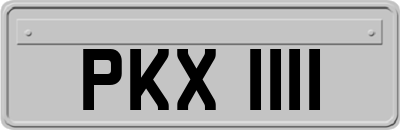 PKX1111