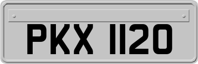 PKX1120