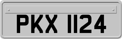PKX1124