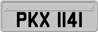 PKX1141