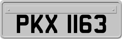 PKX1163