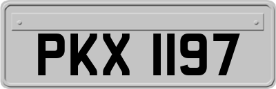 PKX1197