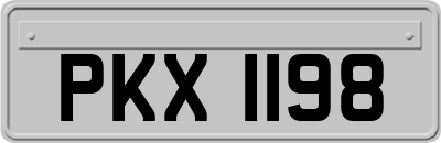 PKX1198