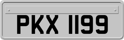 PKX1199