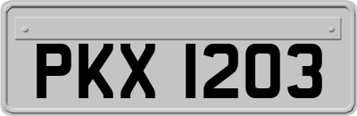 PKX1203