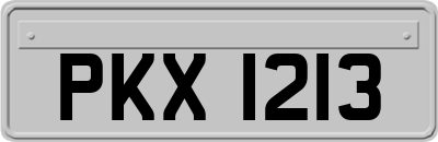 PKX1213