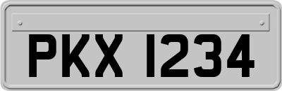 PKX1234