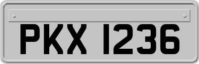 PKX1236