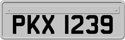 PKX1239