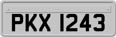PKX1243