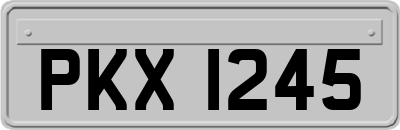 PKX1245