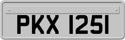 PKX1251
