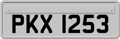 PKX1253