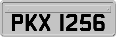 PKX1256