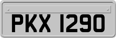 PKX1290