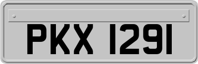 PKX1291