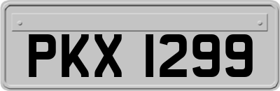 PKX1299