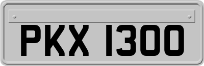 PKX1300