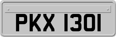PKX1301