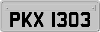 PKX1303