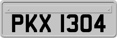 PKX1304