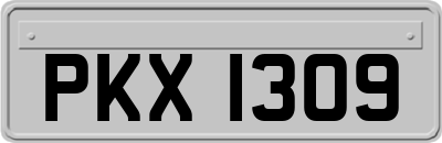 PKX1309