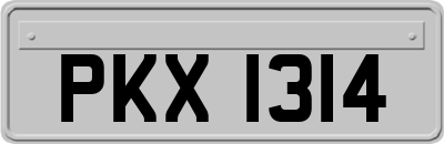 PKX1314