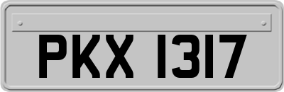 PKX1317