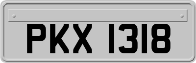 PKX1318