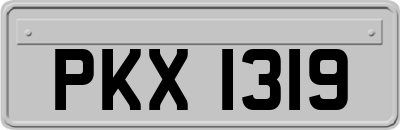 PKX1319