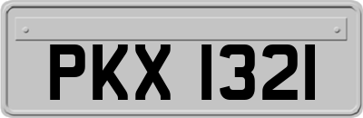 PKX1321