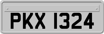 PKX1324