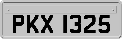 PKX1325