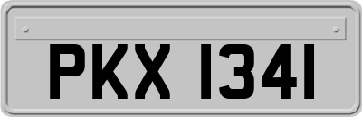 PKX1341