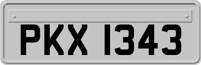 PKX1343