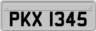 PKX1345