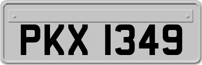 PKX1349