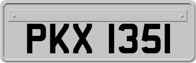 PKX1351
