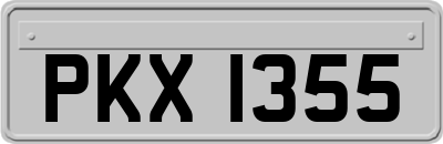 PKX1355