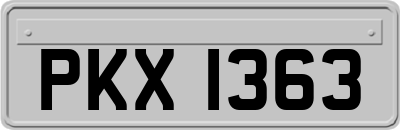 PKX1363