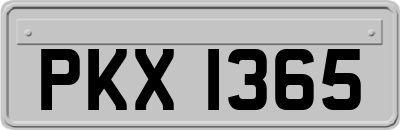 PKX1365