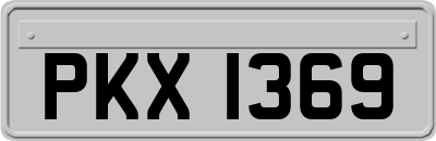 PKX1369