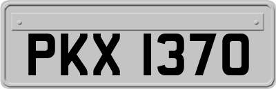 PKX1370