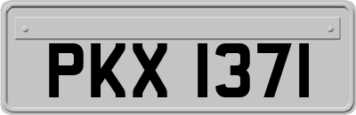 PKX1371