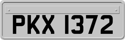 PKX1372