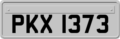 PKX1373